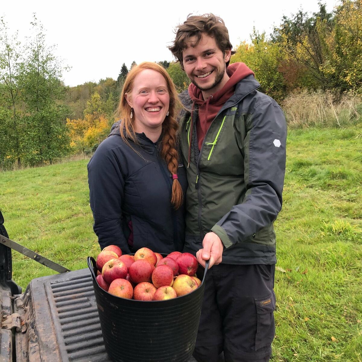 Volunteer 🍎  Help us bring in the apples at harvest time