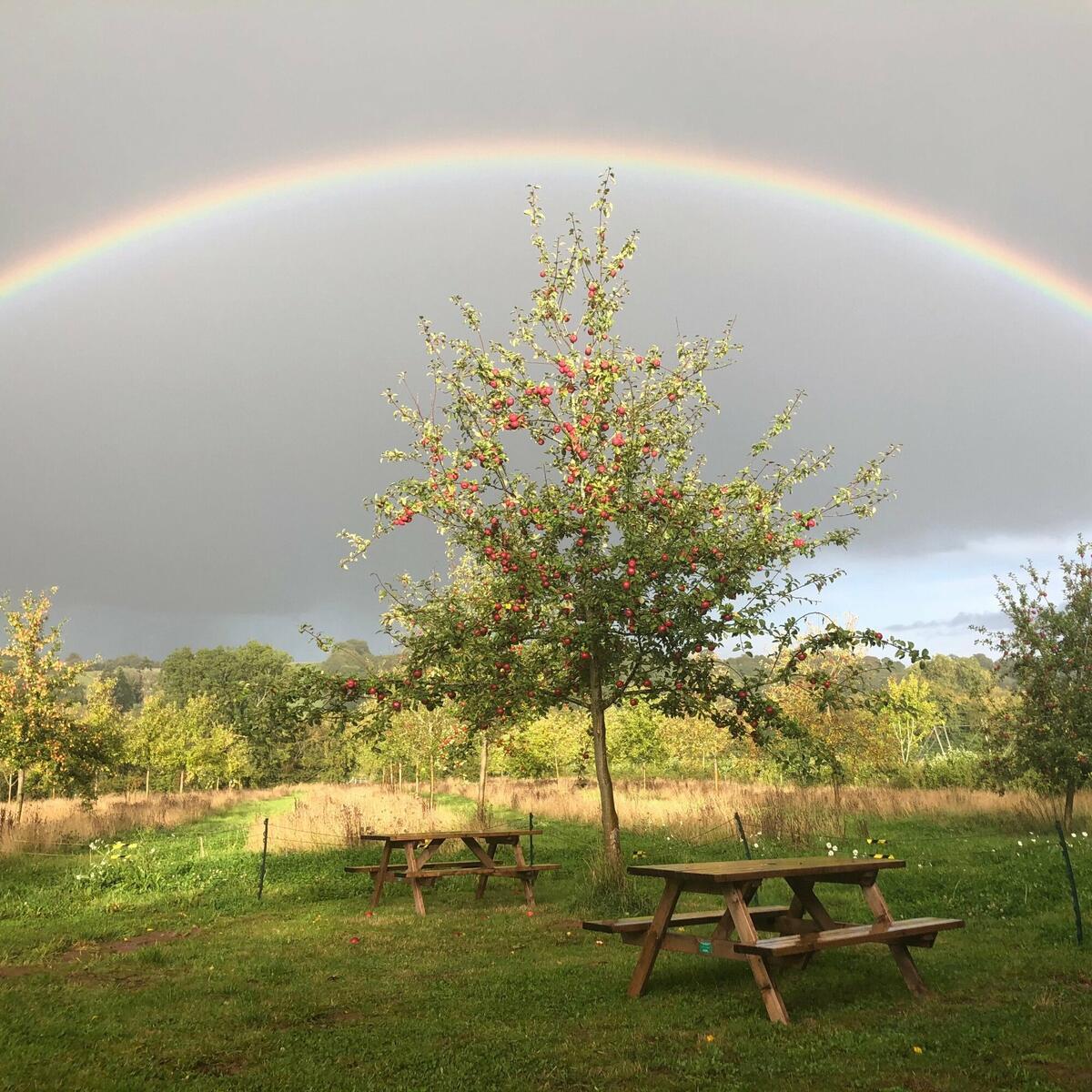 Somewhere… over the rainbow  🍎  The Tasting Room cider garden