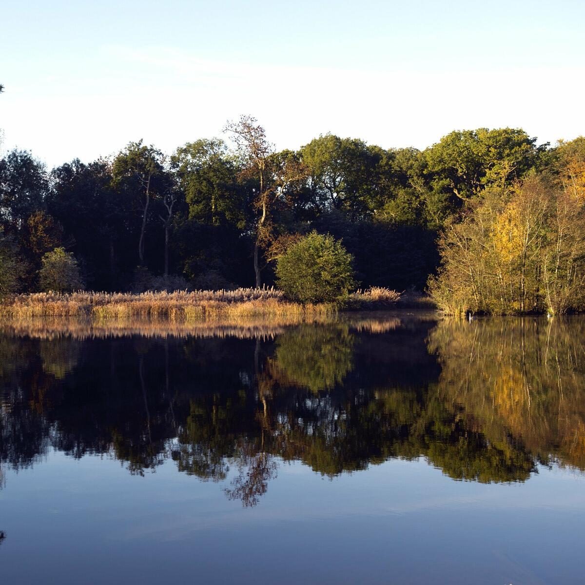 Berrington's lake in autumn