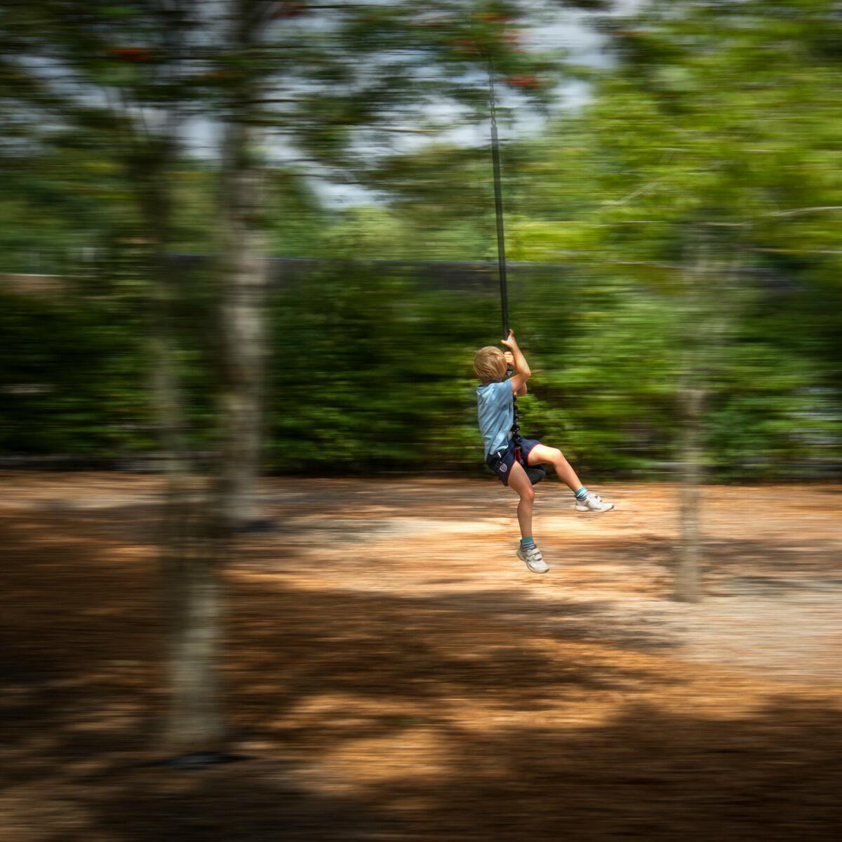 The need for speed - zip wire fun at Pearl Lake