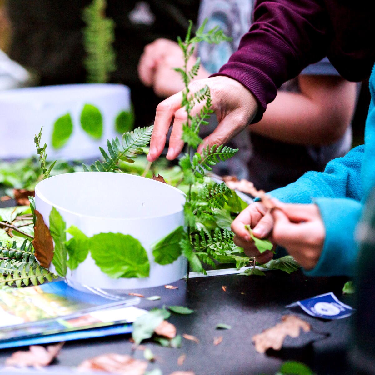 Crafting with Nature