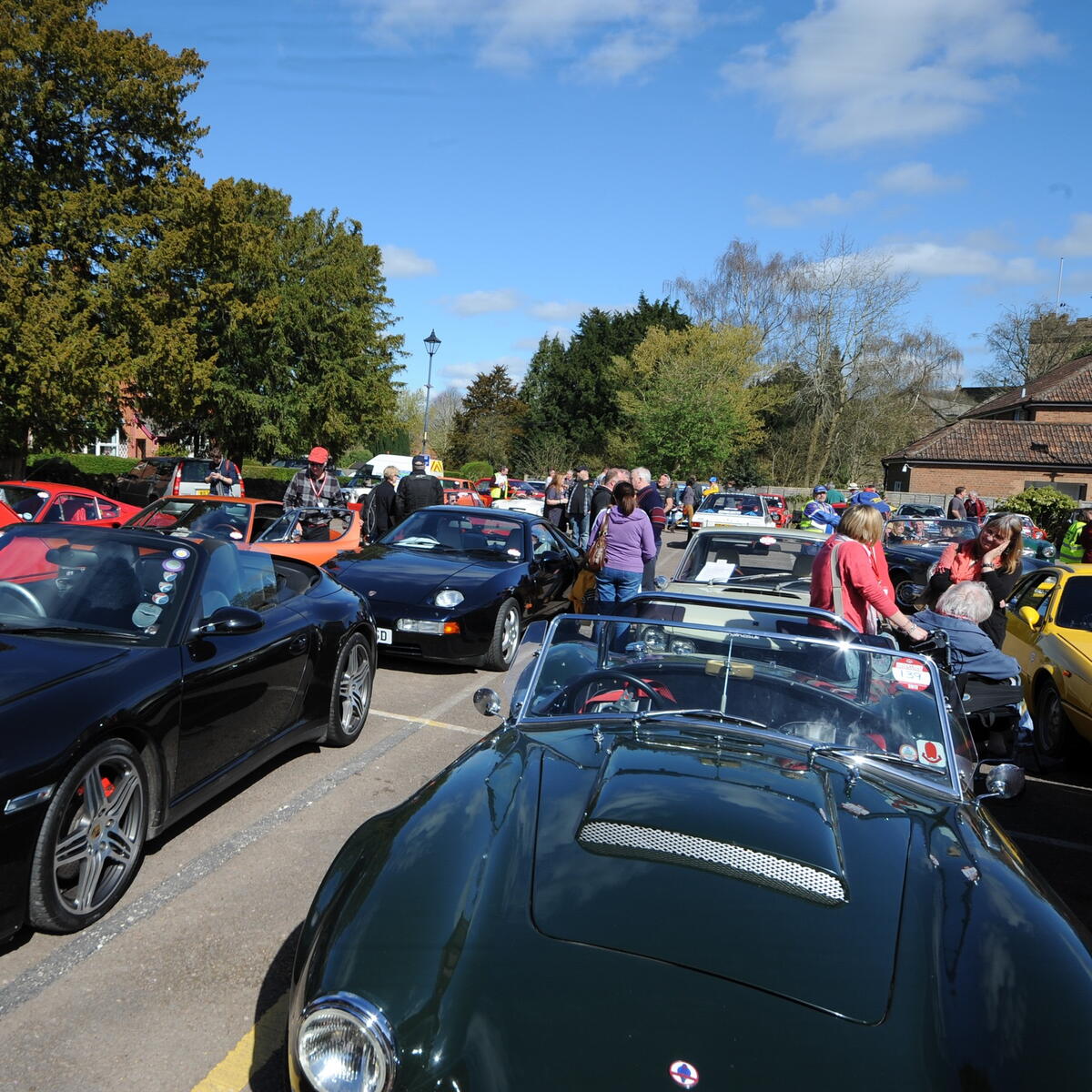 Many Different Cars