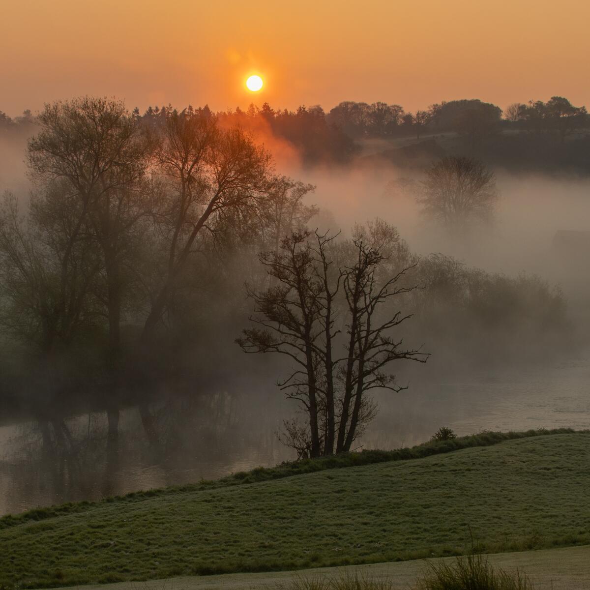 Nick Craddock - Morning Mist