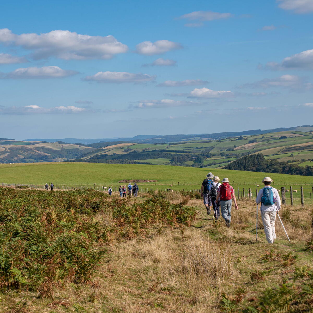Kington Walking Festival 2022 Kington Visit Herefordshire