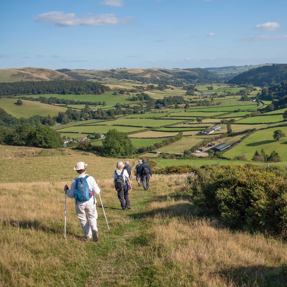Kington Walking Festival 2022 Kington Visit Herefordshire