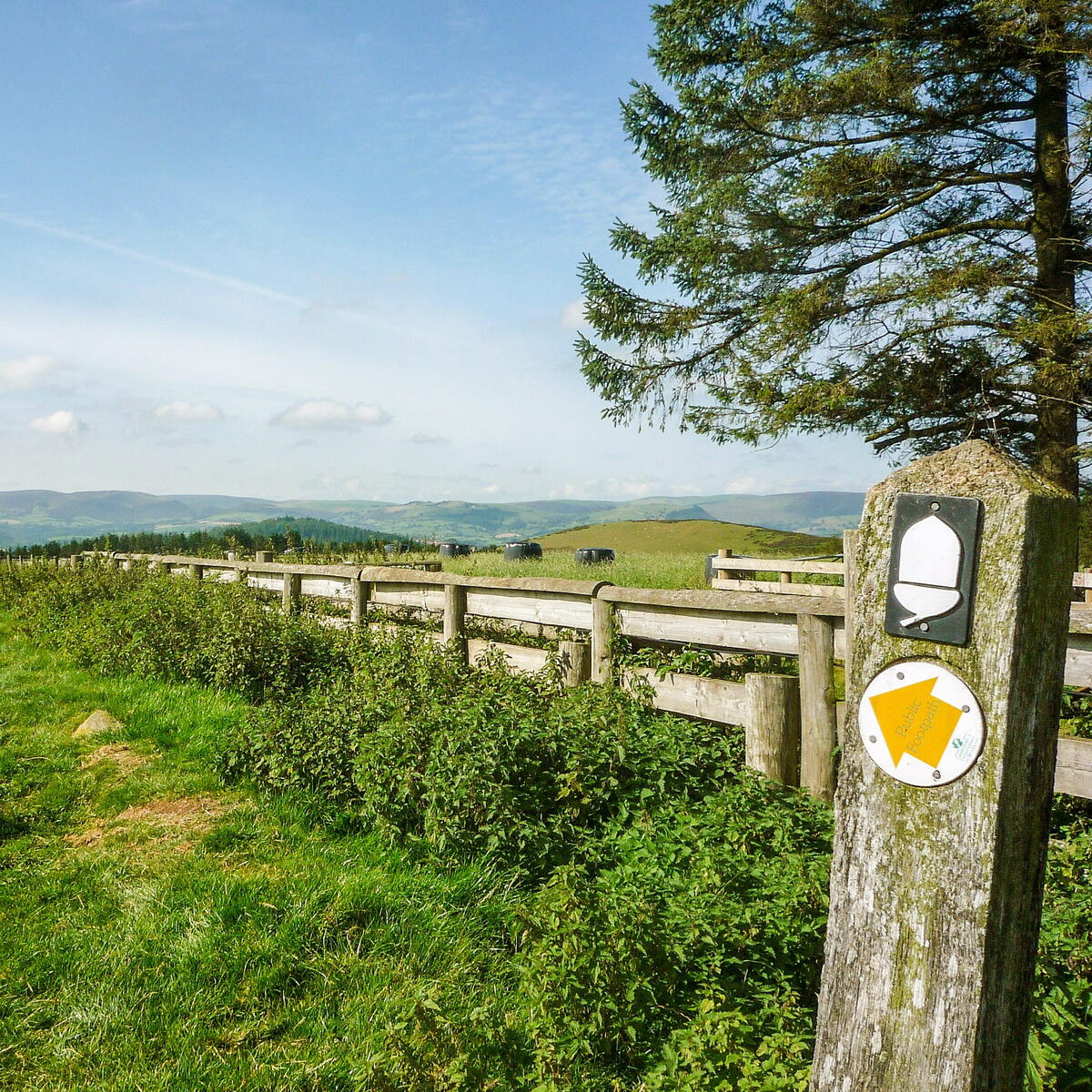 Kington Walking Festival 2022 Kington Visit Herefordshire