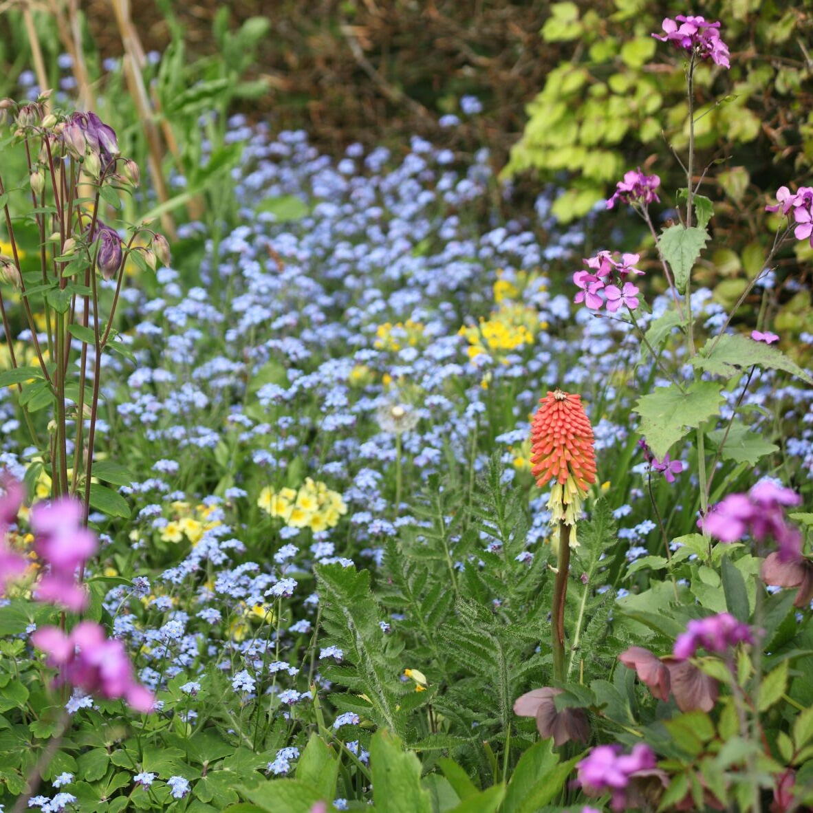 Ross Open Gardens 2023 RossonWye Visit Herefordshire