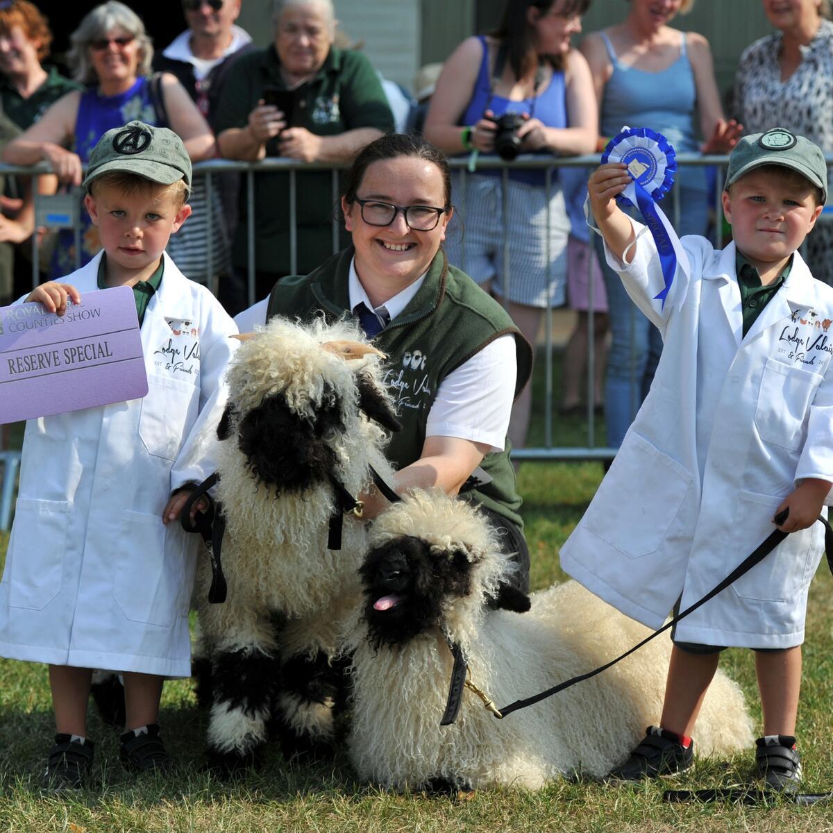 Young animal showers with their animals collecting rosettes 