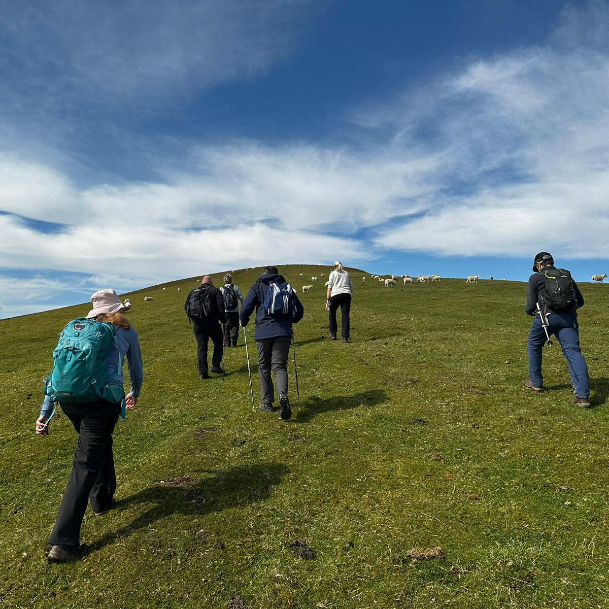 Kington Autumn Walking Festival 2025 Visit Herefordshire