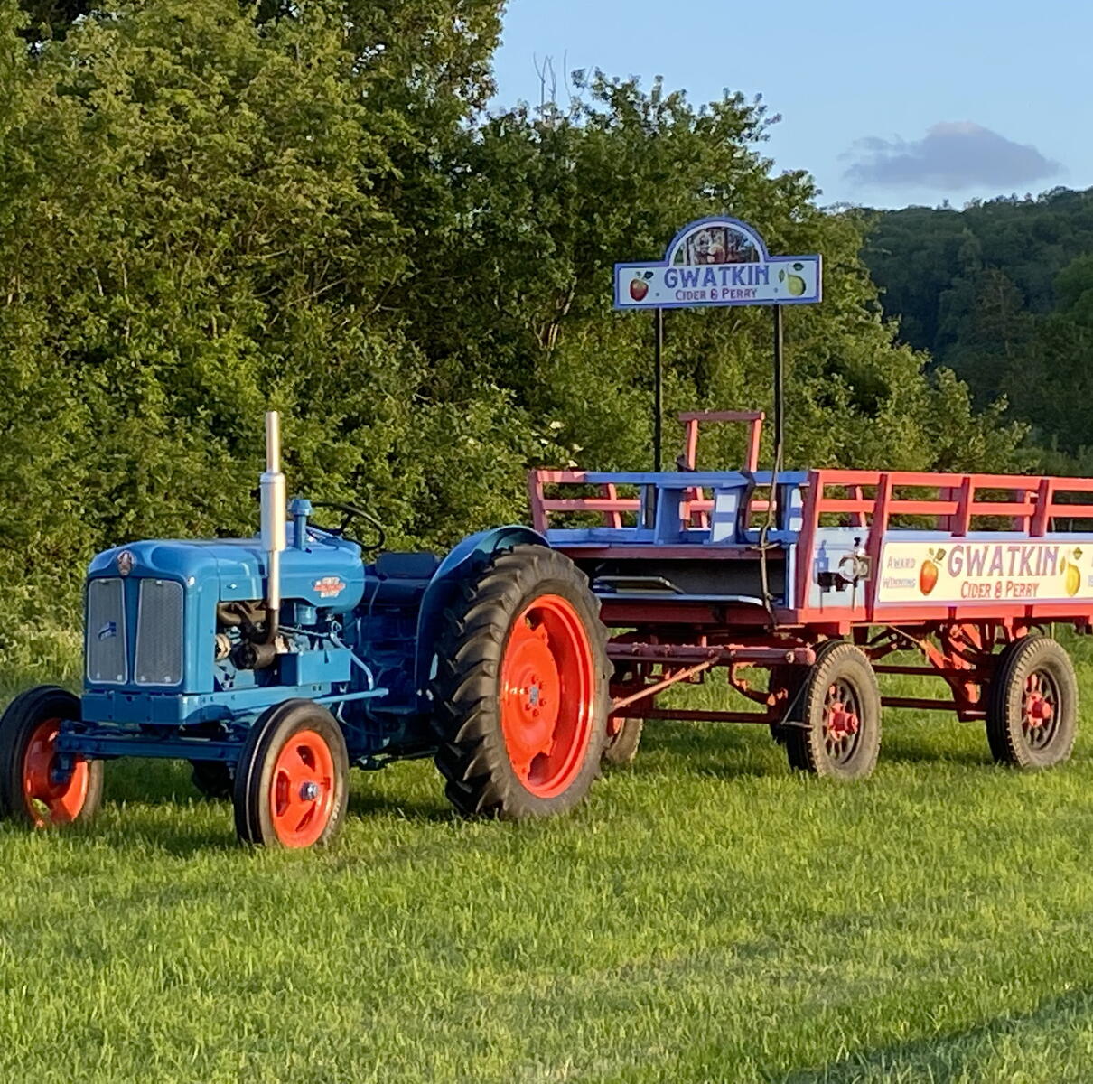 Old blue tractor with trailer for rides