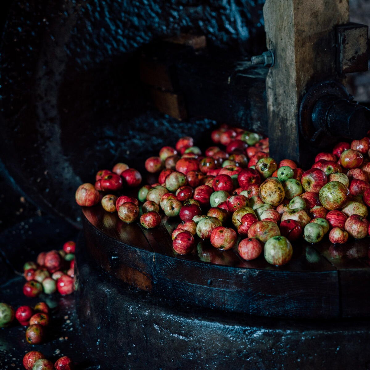 Fair Oak Cider Open Weekend