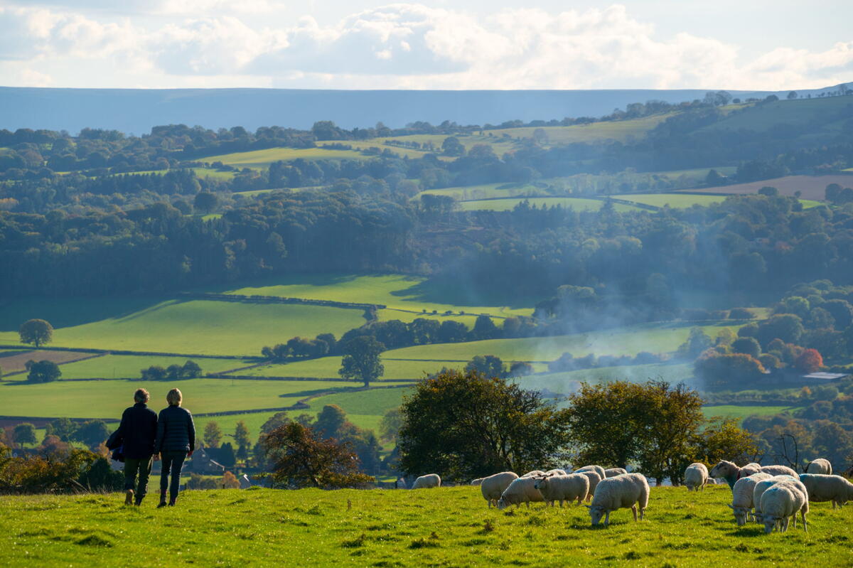 Arthur’s Stone & The Golden Valley Visit Herefordshire