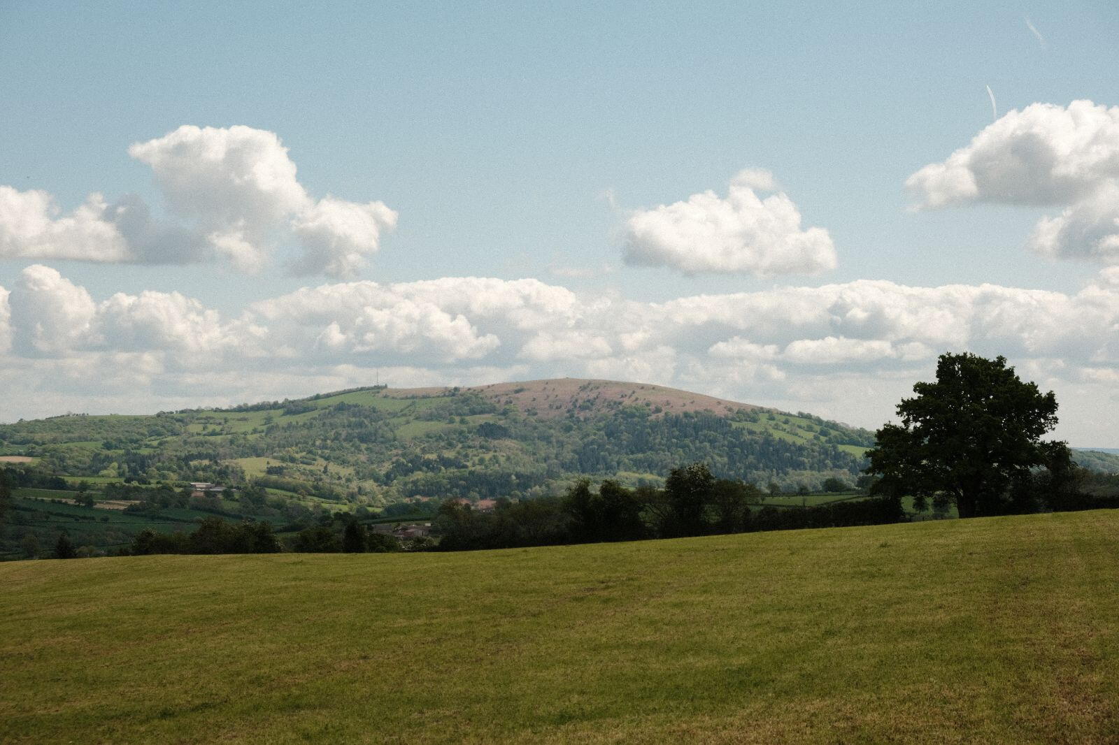 Landscape near Ewyas Harold