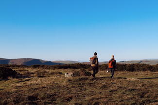 Hergest Ridge