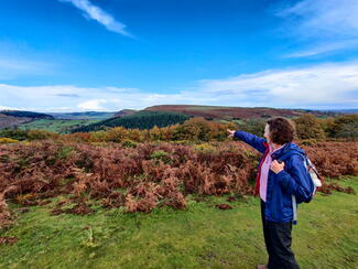 Hergest Ridge