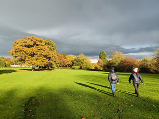 Hergest Ridge