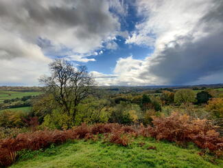 Hergest Ridge