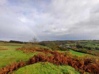 Hergest Ridge