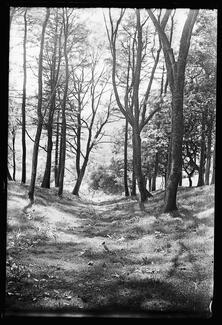 Alfred Watkin's photograph of some Devil's Acre