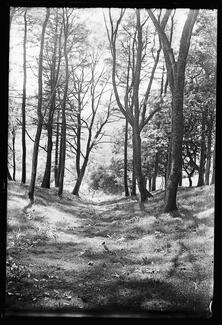 Alfred Watkin's photograph of some Devil's Acre