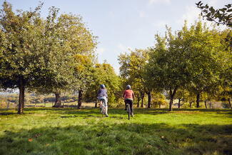 Cider Circuits