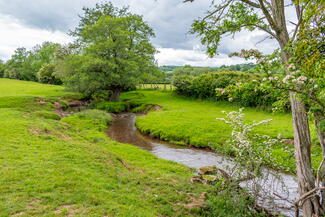 River Dore coming into Turnastone