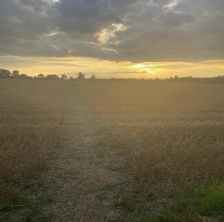 Near Bartestree (Photo credit: Warren Peters)