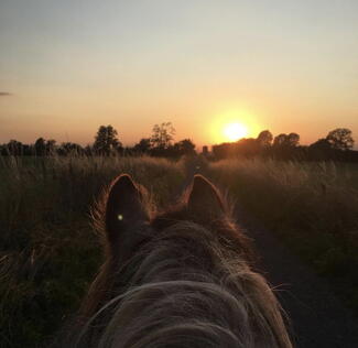 Risbury (Photo credit: Maddie Pony)