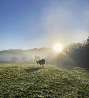 River Wye at Welsh Bicknor (Photo credit: Wye Organic)