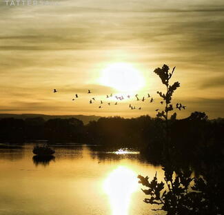 Susan Tattesall Brockhall Quarry 2