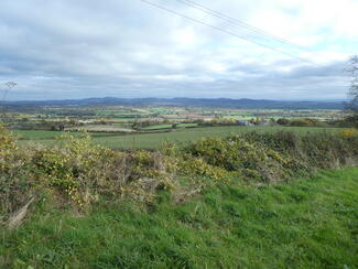 Marcle Ridge and Woolhope Dome