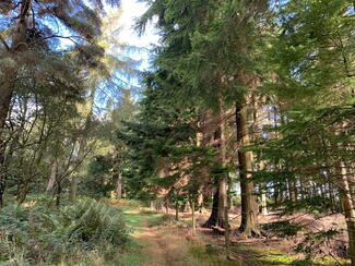 Into the Croft Estate