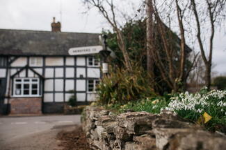 Snowdrops in Weobley