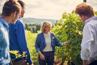 frome valley vineyard tour