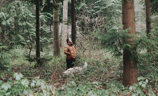 Walking through Moccas Wood