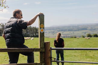 Walkers at Arthur's stone