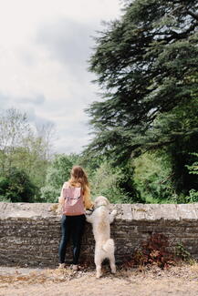 Looking over Downton Gorge Bridge