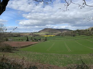 Wythall Estate Wine Walk