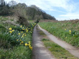 Wythall Estate Wine Walk spring flowers