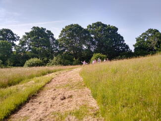 Walking Ross to Little Dewchurch