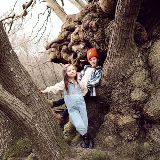 Tree climbing