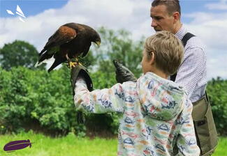 Falconry