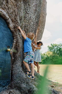 Tree door at Hampton Court Castle