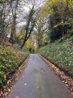 Leintwardine track road