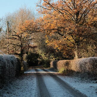 Country Lane