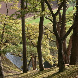 Bredwardine walk