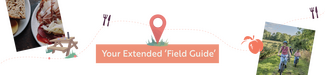Your Extended 'Field Guide'