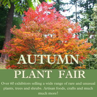 plant fair