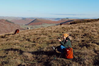 Woman drinking tea atop hilly landscape with wild ponies in background
