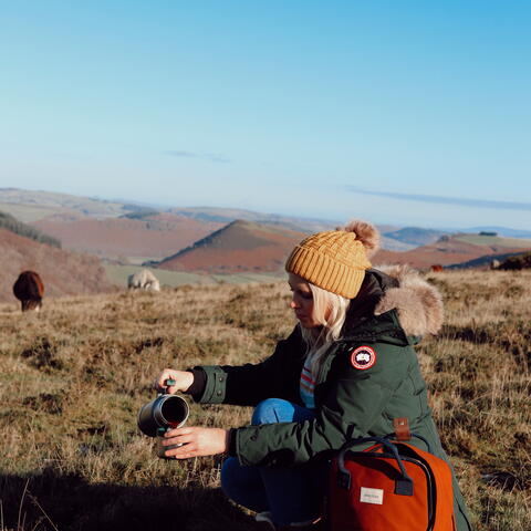 Hergest Ridge